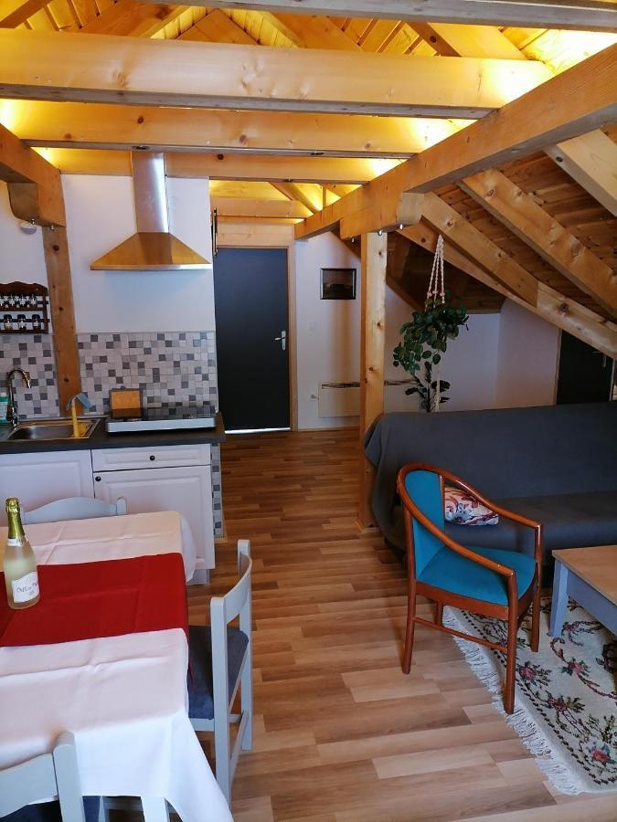 Apartman Tonka Otocac Bagian luar foto